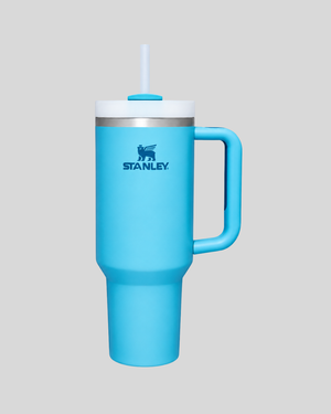Stanley Quencher FlowState Tumbler